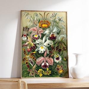 Wild Orchid Poster, Orchidae by Ernst Haeckel, Botanical Print, Flower Vintage Home Decor, Floral Wall Art, Plant Illustration, Printable