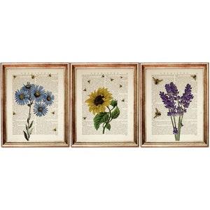 Set of 3 Botanical Dictionary 8x10 Art Prints, Sunflower with Bees Wall Decor, Lavender Poster, Blue Daisy Artwork