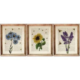 Set of 3 Botanical Dictionary 8x10 Art Prints, Sunflower with Bees Wall Decor, Lavender Poster, Blue Daisy Artwork