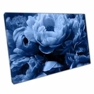 Stormy Dusky Blue Peony Rose Flowers Delicate Floral Photography Print Canvas