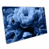 Stormy Dusky Blue Peony Rose Flowers Delicate Floral Photography Print Canvas