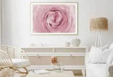 Pink Ranunculus Flower Macro View Print Premium Poster High Quality choose sizes