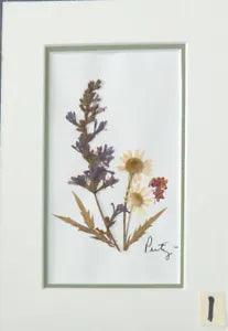 Pressed Dried Flowers in non yellowing double mat & backing, 5 x 7