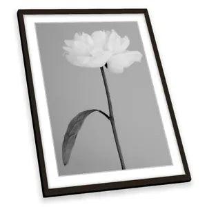 Peony 14 Flower Floral Grey FRAMED ART PRINT Picture Portrait Artwork