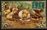 AX178 EASTER CHICKEN EGGS LILY of the VALLEY Embossed
