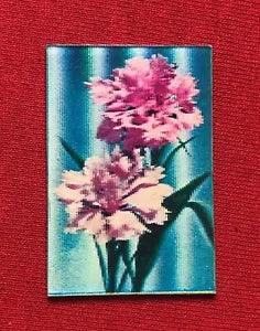 Vari-Vue Pink Carnation Flower Flicker Motion Animated Lenticular 3D Action