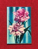 Vari-Vue Pink Carnation Flower Flicker Motion Animated Lenticular 3D Action