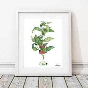 Coffee Plant Herb Wall Art, Watercolor Painting, Kitchen Wall Art, Coffee Bar Art Decor, Kitchen Decor, Botanical Artwork, Herbs Kitchen Art