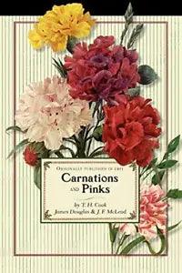 Carnations and Pinks  Gardening in America