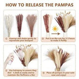 NEW LISTINGTotal 104 pcs /11 Various Dried Pampas Grass D???cor, White Pompous 104 pcs white