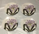 VINTAGE Baum Brothers Plates 8" ACANTHUS Blue Lily 4- Piece Set