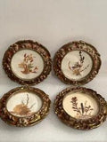 Vintage Pressed Flowers Framed Artwork Set Of 4 See Details