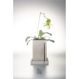 Epiphyte set | Handmade concrete planter with saucer | Ventilating design for epiphytic plants' root system (e.g. epiphytic orchid, fern)