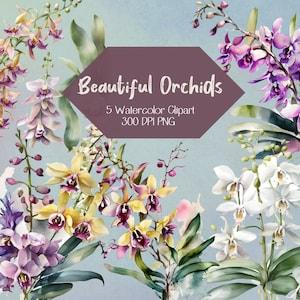 Dendrobium Orchid Wedding Invitation Orchid Wedding Stationary Floral Clipart Dendrobium Orchid Mother's Day card Floral Stationary