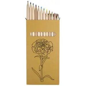 12 x 'Carnation Flower' Long 178mm Coloured Pencils / Pencil Set (PE00049705)