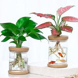 Hydroponic Flowerpot - Mini - Transparent -  Soilless Plant Pot for Green Plants Home Decoration