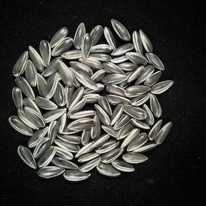 Lot of 1000 pieces Handmade Porcelain Sunflower Seeds LONDON TATE MODERN 2010 Gift  Ceramic Kuihuazi turnsole  Abstract art