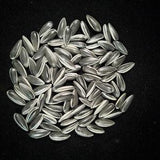 Lot of 1000 pieces Handmade Porcelain Sunflower Seeds LONDON TATE MODERN 2010 Gift  Ceramic Kuihuazi turnsole  Abstract art