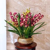 Vicky Yao Faux Floral -Real Touch Cymbidium Orchid Golden Pot