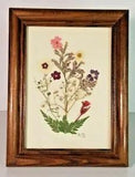 FRAMED DRIED FLOWER ARRANGEMENT BURGANDY PURPLE & PINK FLOWERS