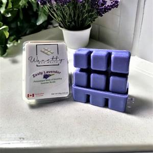 Floral Wax Melt Collection - 6 Floral Scented Handcrafted Wax Melt Clamshells