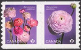 2023 Canada SC# Flowers - Ranunculus - die cut pair from coil - M-NH
