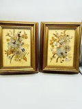 Set x2 Vtg Framed Dried Flowers Signed Dated Flowers Identified T.J. Bauer 1981