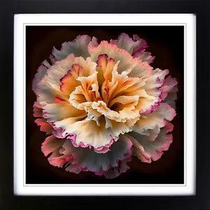 Carnation Flower Abstract Expressionism No.1 Framed Wall Art Print Picture Large