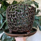 Large Black Brown Ceramic Orchid Planter Pot with Holes