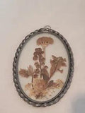 Dried Flower Window or Wall Hanging Oval See Pictures For Size Pressed Flowers