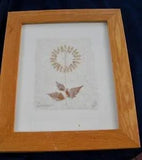 FRAMED DRIED SUNFLOWER PICTURE~ Signed and dated '95~10" x 12"