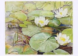 Postcard Beatrix Potter "Drawing of Water Lilies" c1906 V&A Museum, London MINT