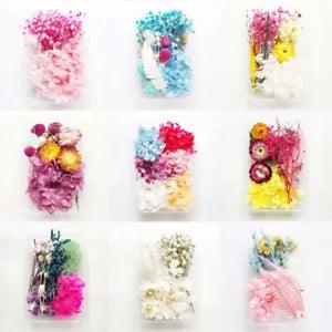 1Box Mixed Real Dried Flowers Dried Plants DIY Scrapbooking Craft Handmade Decor
