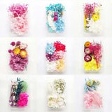 1Box Mixed Real Dried Flowers Dried Plants DIY Scrapbooking Craft Handmade Decor