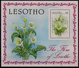 Lesotho 1987 Pig Lily African flowers Plants Fiori m/s MNH