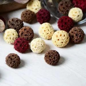 10pcs Natural Real dried flower head materials DIY display arrangement for...