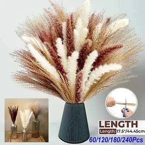Natural Dried Flower Bouquet Reed Flores Pampas Grass Bunch Wedding Home Decor