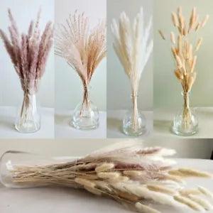 Natural Dried Pampas Grass Bouquet, , Total 75 Pcs.  Bouquet Only.