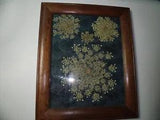 Vintage Framed Dried Flowers Queen Anne's Lace