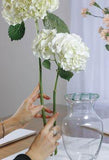 How to Arrange Flowers Like a Pro - Part 1 Flower Delivery