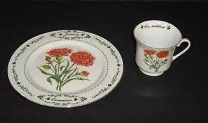 96 Domestications Flowers of the Month 2 pc Side Plate & Cup January Carnation