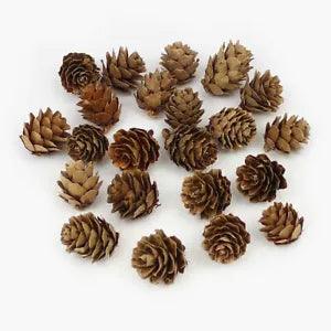 20Pieces Natural Dried flowers Pine cone Acorn Artificial Flower Home Room Decor