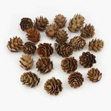 20Pieces Natural Dried flowers Pine cone Acorn Artificial Flower Home Room Decor