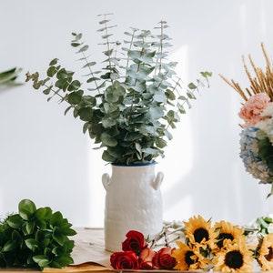 Eucalyptus SILVER DOLLAR SEEDS - Baby Blue Eucalyptus / Eucalyptus house plant - Create Eucalyptus Bunch - Party Favor Seeds - Non Gmo Seeds