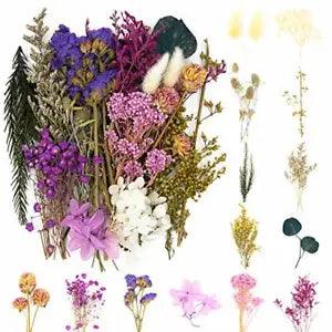 Vignee Real Dried Pressed Leaf Flowers-Multiple Colorful Pressed Flowers Dais...