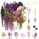 Vignee Real Dried Pressed Leaf Flowers-Multiple Colorful Pressed Flowers Dais...