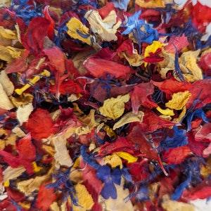 Susannah Collection -Vibrant & Bright