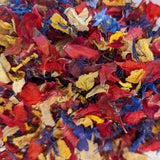 Susannah Collection -Vibrant & Bright