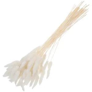 60pcs Dried Rabbit Tail Grass Flowers Pampas Bouquet Wedding Centerpiece White