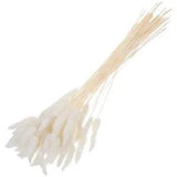 60pcs Dried Rabbit Tail Grass Flowers Pampas Bouquet Wedding Centerpiece White